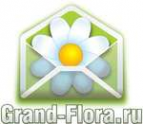 Логотип компании Доставка цветов Гранд Флора (ф-л г.Верхняя Пышма)
