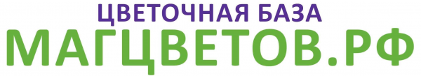 Логотип компании Магцветов.рф